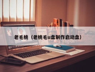 老毛桃（老桃毛u盘制作启动盘）