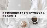 辽宁突发龙卷风致多人受伤（辽宁突发龙卷风致多人受伤一）