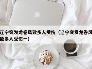 辽宁突发龙卷风致多人受伤（辽宁突发龙卷风致多人受伤一）