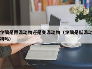 企鹅是恒温动物还是变温动物（企鹅是低温动物吗）