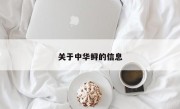 关于中华鲟的信息