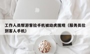 工作人员帮游客捡手机被幼虎围观（服务员捡到客人手机）