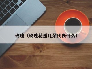 玫瑰（玫瑰花送几朵代表什么）