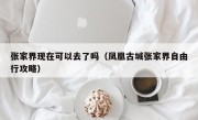 张家界现在可以去了吗（凤凰古城张家界自由行攻略）