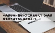 中央转移支付首破十万亿钱去哪儿了（中央转移支付首破十万亿钱去哪儿了8）