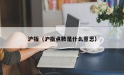 沪指（沪指点数是什么意思）