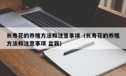 长寿花的养殖方法和注意事项（长寿花的养殖方法和注意事项 盆栽）