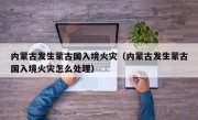 内蒙古发生蒙古国入境火灾（内蒙古发生蒙古国入境火灾怎么处理）