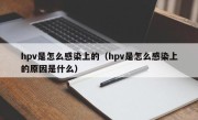 hpv是怎么感染上的（hpv是怎么感染上的原因是什么）