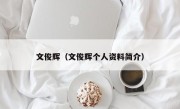 文俊辉（文俊辉个人资料简介）