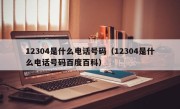 12304是什么电话号码（12304是什么电话号码百度百科）