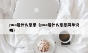 pua是什么意思（pua是什么意思简单说明）