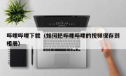 哔哩哔哩下载（如何把哔哩哔哩的视频保存到相册）