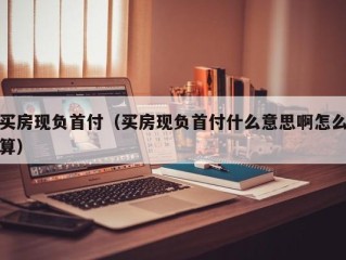 买房现负首付（买房现负首付什么意思啊怎么算）