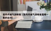 宋丹丹被气到吸氧（宋丹丹被气到吸氧是哪一集的台词）