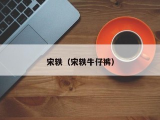 宋轶（宋轶牛仔裤）