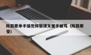 陈凯歌单手插兜和张颂文握手被骂（陈凯歌 受）