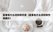 莲雾有什么功效和作用（莲雾有什么功效和作用图片）