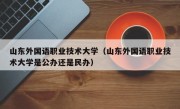 山东外国语职业技术大学（山东外国语职业技术大学是公办还是民办）