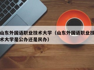 山东外国语职业技术大学（山东外国语职业技术大学是公办还是民办）