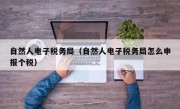 自然人电子税务局（自然人电子税务局怎么申报个税）