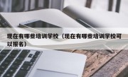 现在有哪些培训学校（现在有哪些培训学校可以报名）