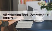 天美传媒自制剧免费观看（九一传媒制片厂的制作水平）