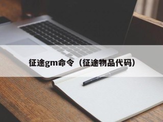 征途gm命令（征途物品代码）